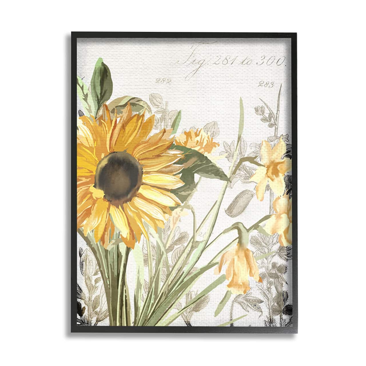 Stupell Industries Soft Sunflower Floral Black Framed Wall Art